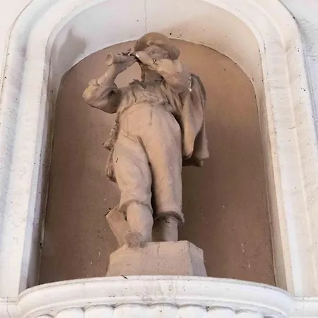 Comfort As Usual Bari