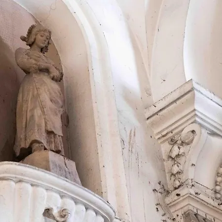 Comfort As Usual Bari