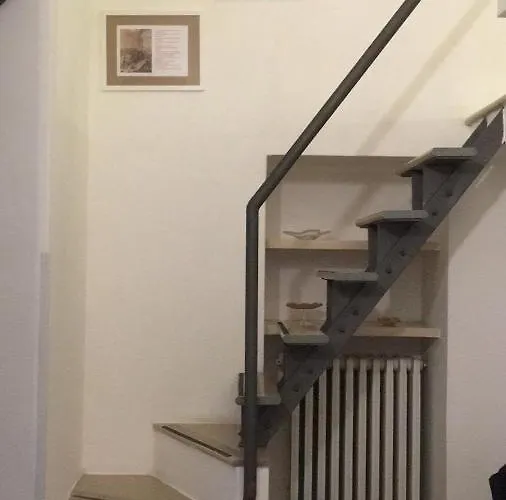 Comfort As Usual Bari