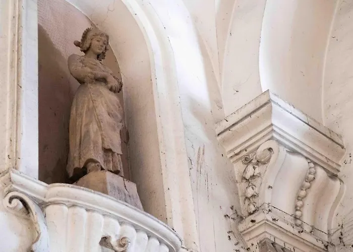 Comfort As Usual Bari